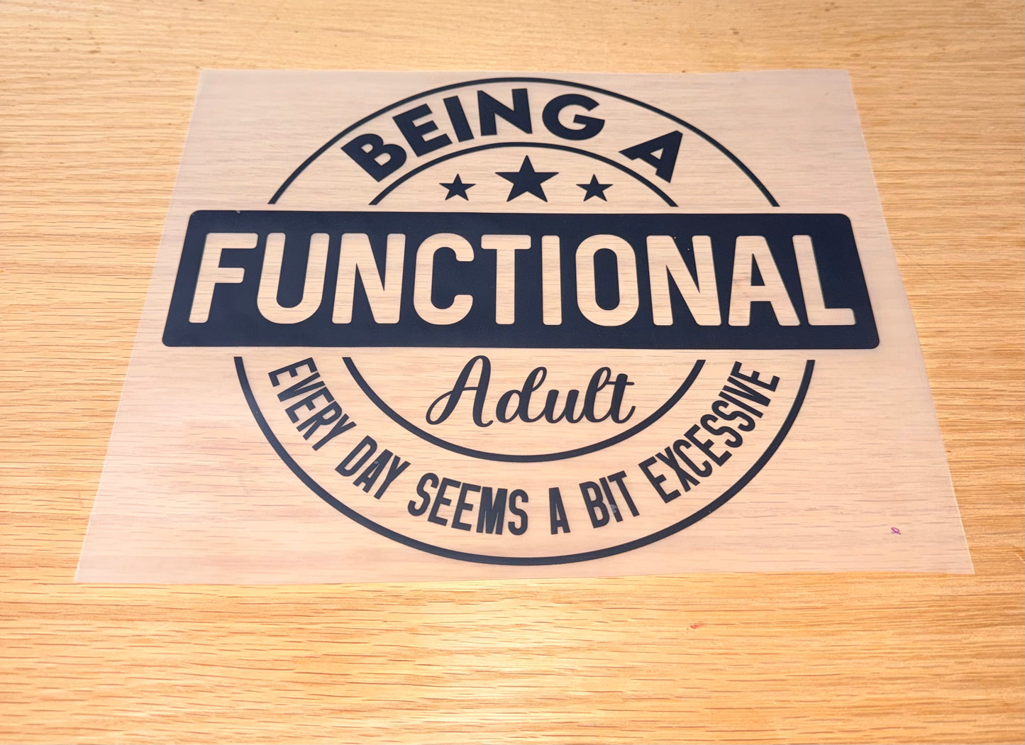 Being a Functional Adult is Excessive
