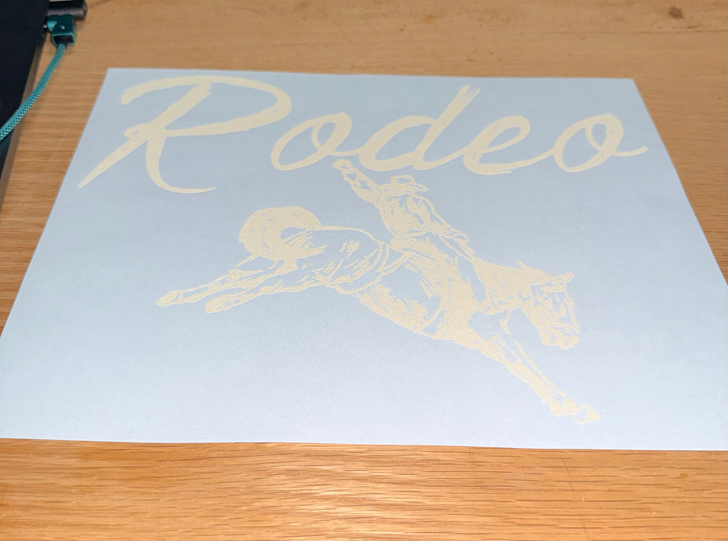 Rodeo Cowboy