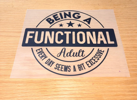 Being a Functional Adult is Excessive