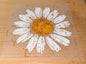 Daisy White and Yellow