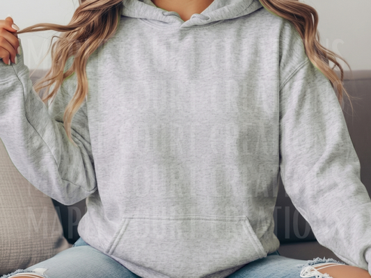 Ash Gildan Hoodie