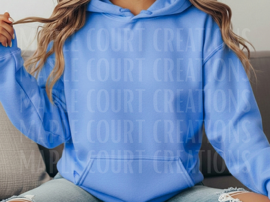 Carolina Blue Gildan Hoodie