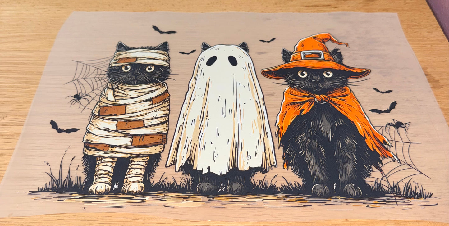 Halloween Cats