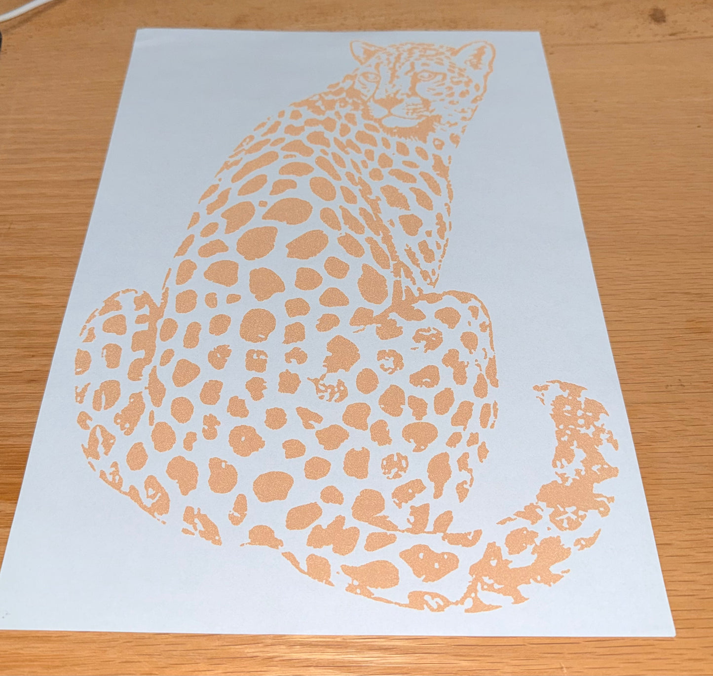 Cheetah